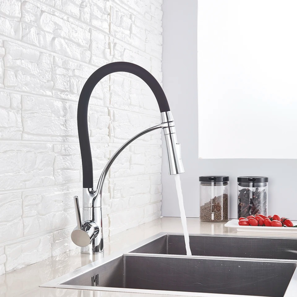 Grifo de Cocina Elegante con Ducha y 2 Funciones