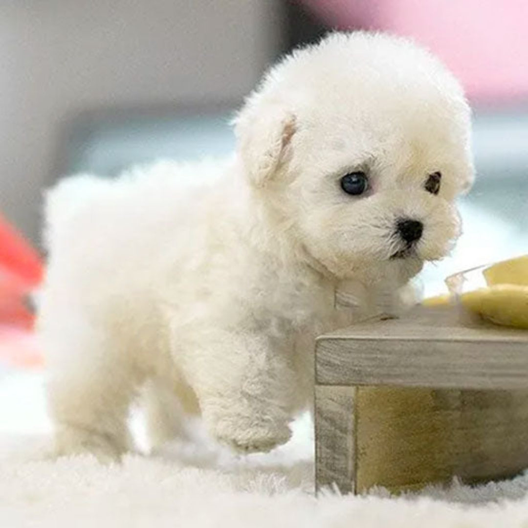 Juguete cachorro electrónico realista de peluche