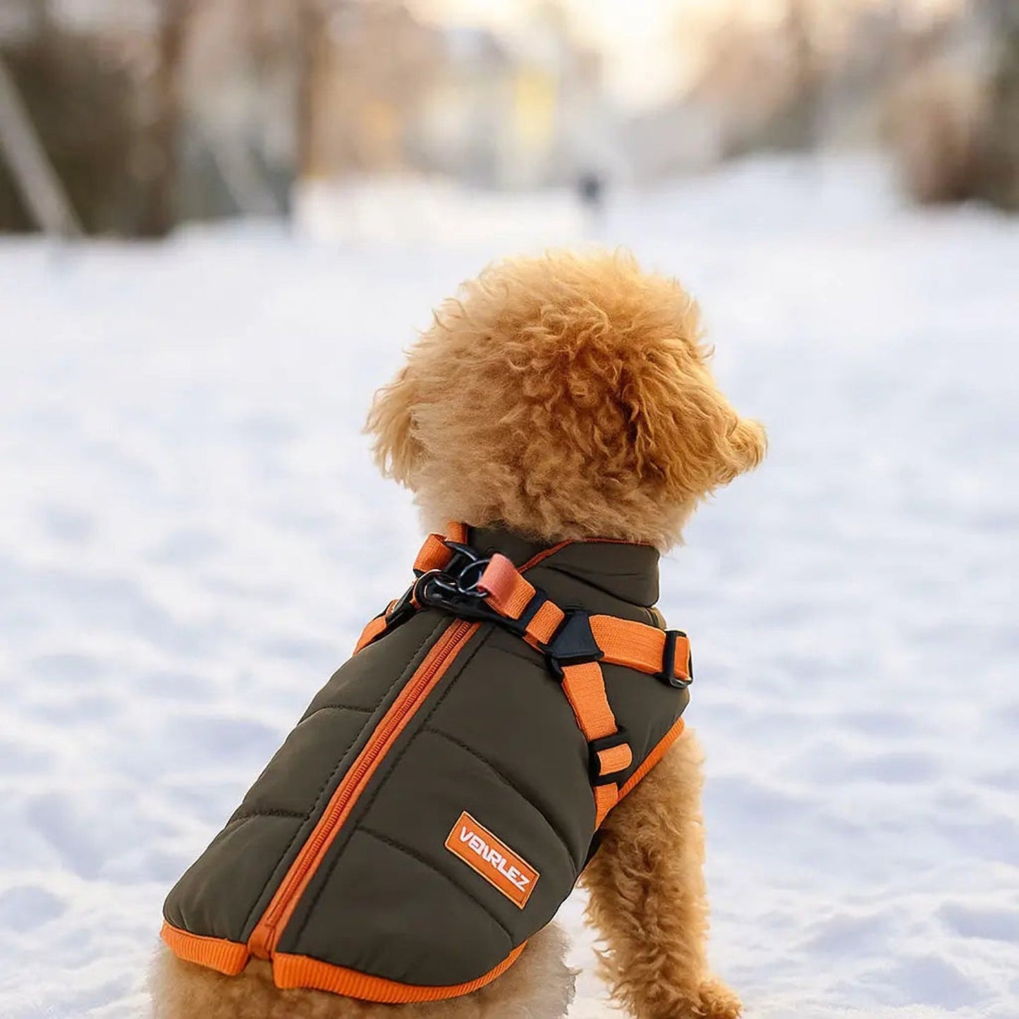 Abrigo para Perro de Invierno Suave e Impermeable