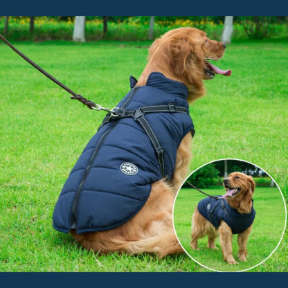 Chaleco para Perro Suave e Impermeable