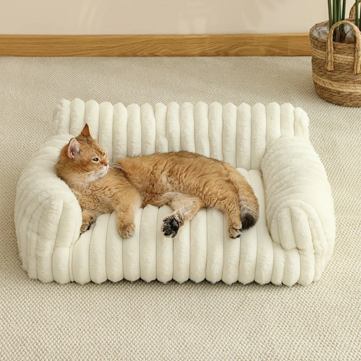 Cama Ortopédica y Cómoda para Gato