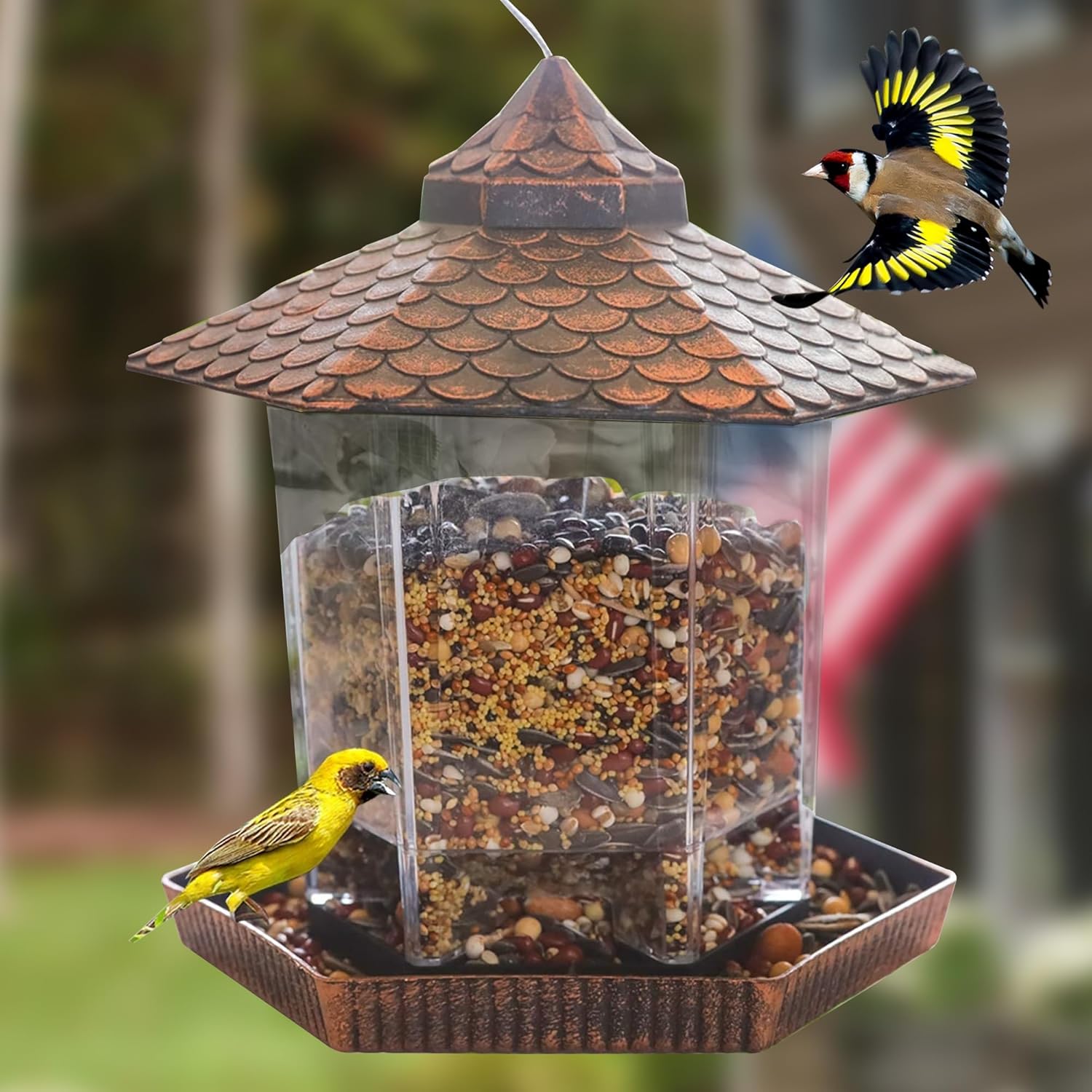 Nid d'Oiseau en Métal Résistant avec Réservoir de Grain Transparent - Foivo