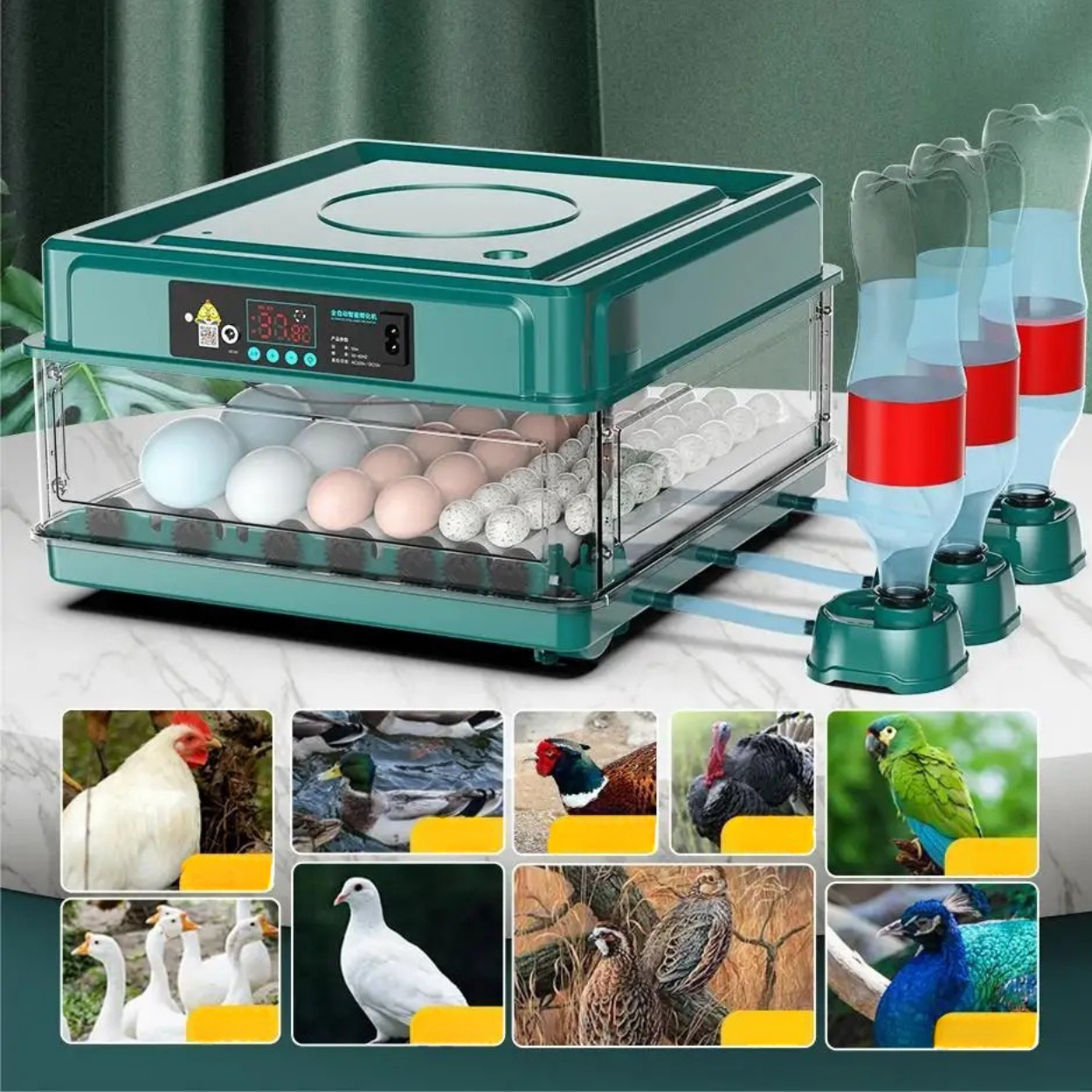 Incubadora Automática de Huevos con Volteo y Control de Temperatura