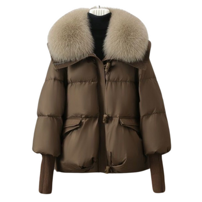 Parka de Invierno Corta con Capucha Forrada