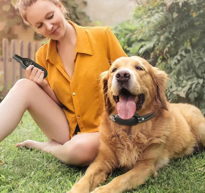 Marcherelle™ – Collier Electrique de Dressage Contrôle Précis Jusqu’à 1000 m