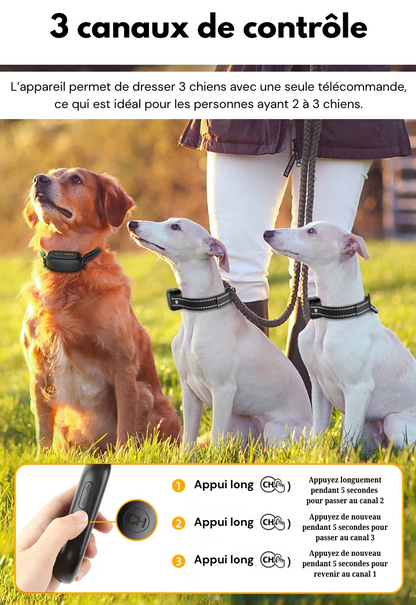 Marcherelle™ – Collier Electrique de Dressage Contrôle Précis Jusqu’à 1000 m