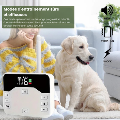 Marcherelle™ – Collier Electrique de Dressage pour Chien avec Zone de Sécurité Réglable