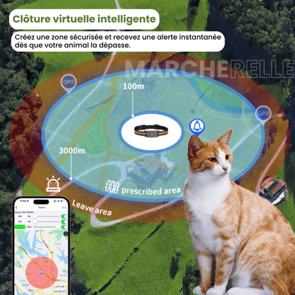 Marcherelle™ – Collier GPS Chat Sans Abonnement, Suivi en Temps Réel