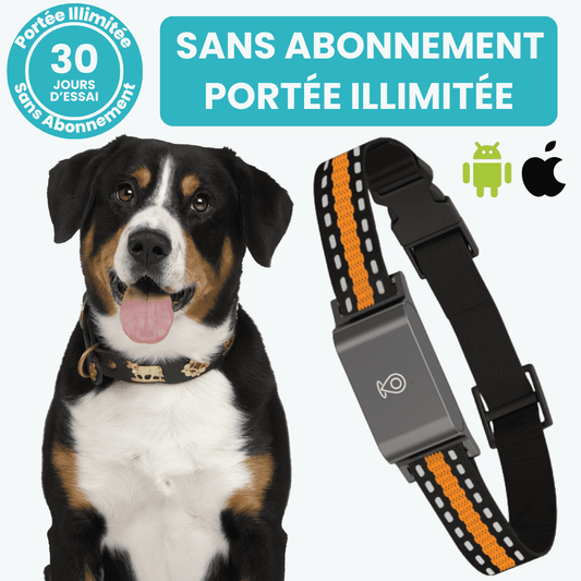 Marcherelle™ – Collier GPS Chien Sans Abonnement Suivi Précis & Illimité