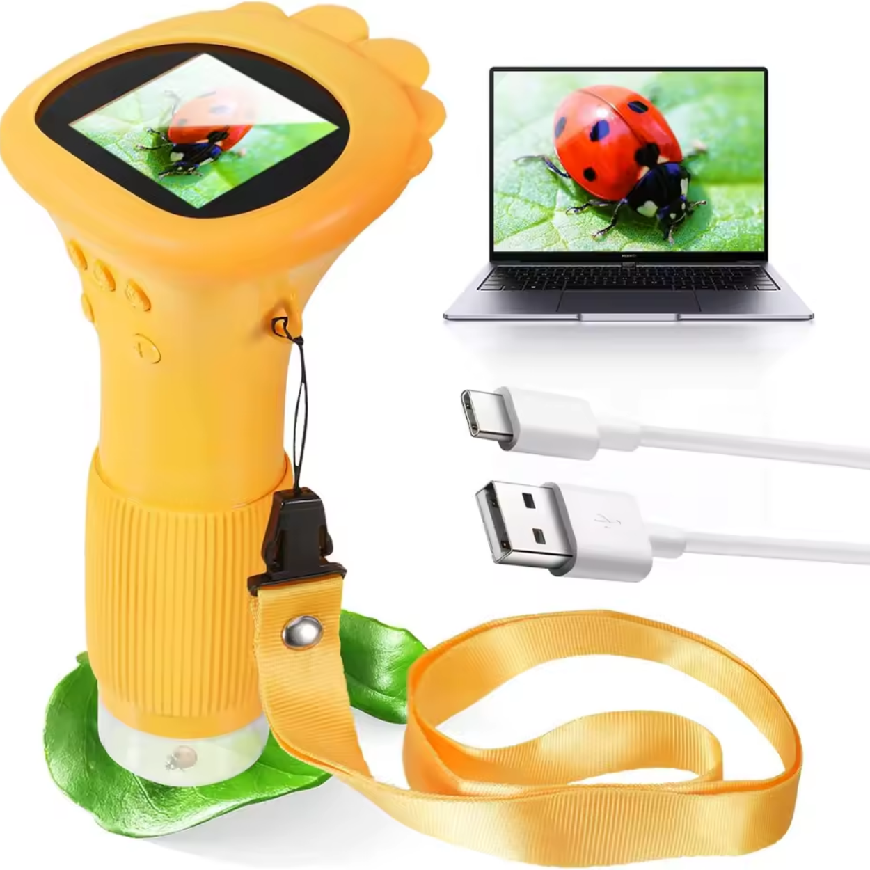 Microscopio para Niños con Pantalla Digital a Color